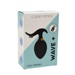 WAVE Œuf vibrant noir télécommandé USB